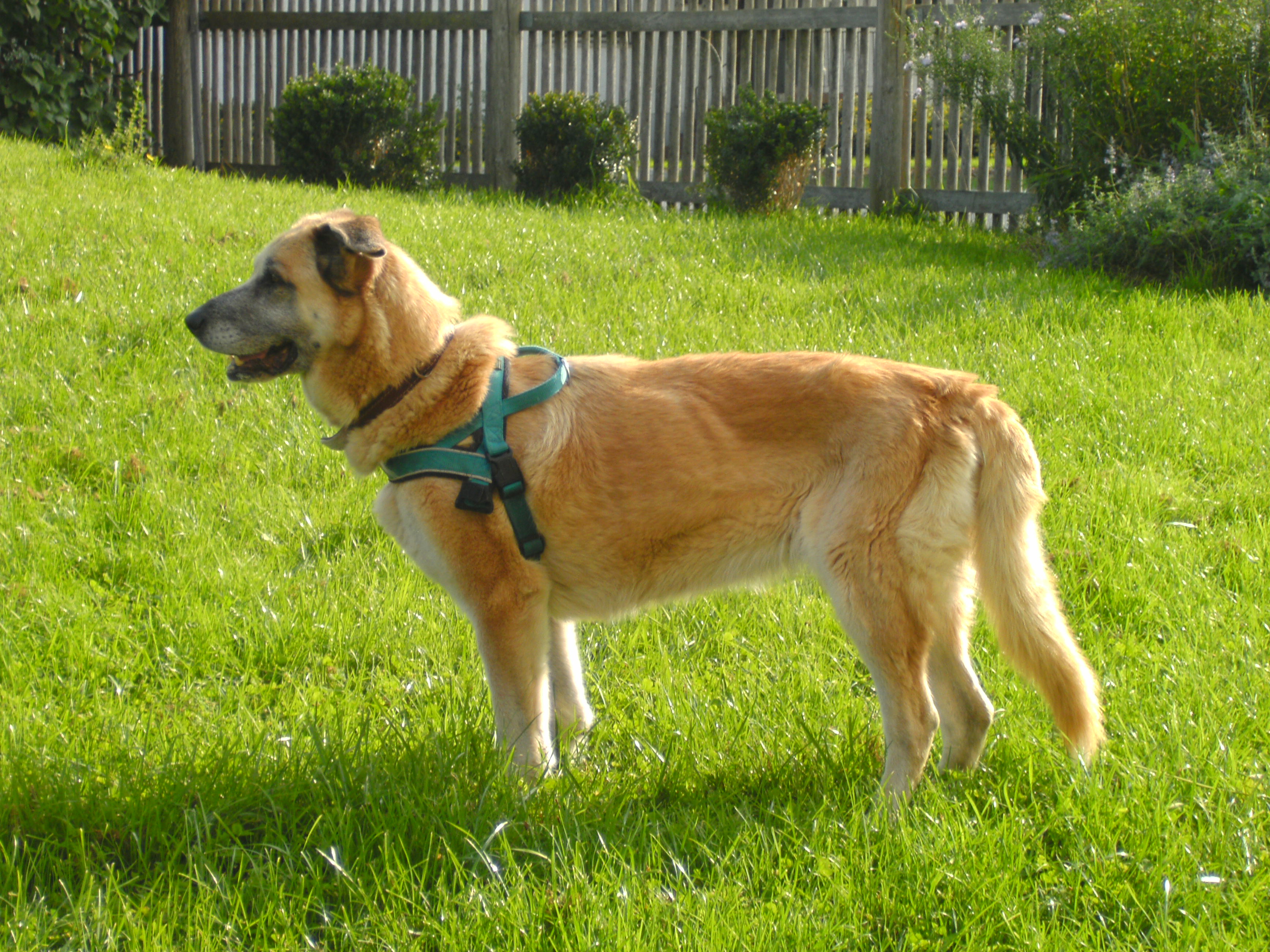 + Angenehm, Karolinka.jpg (3472 x 2604)